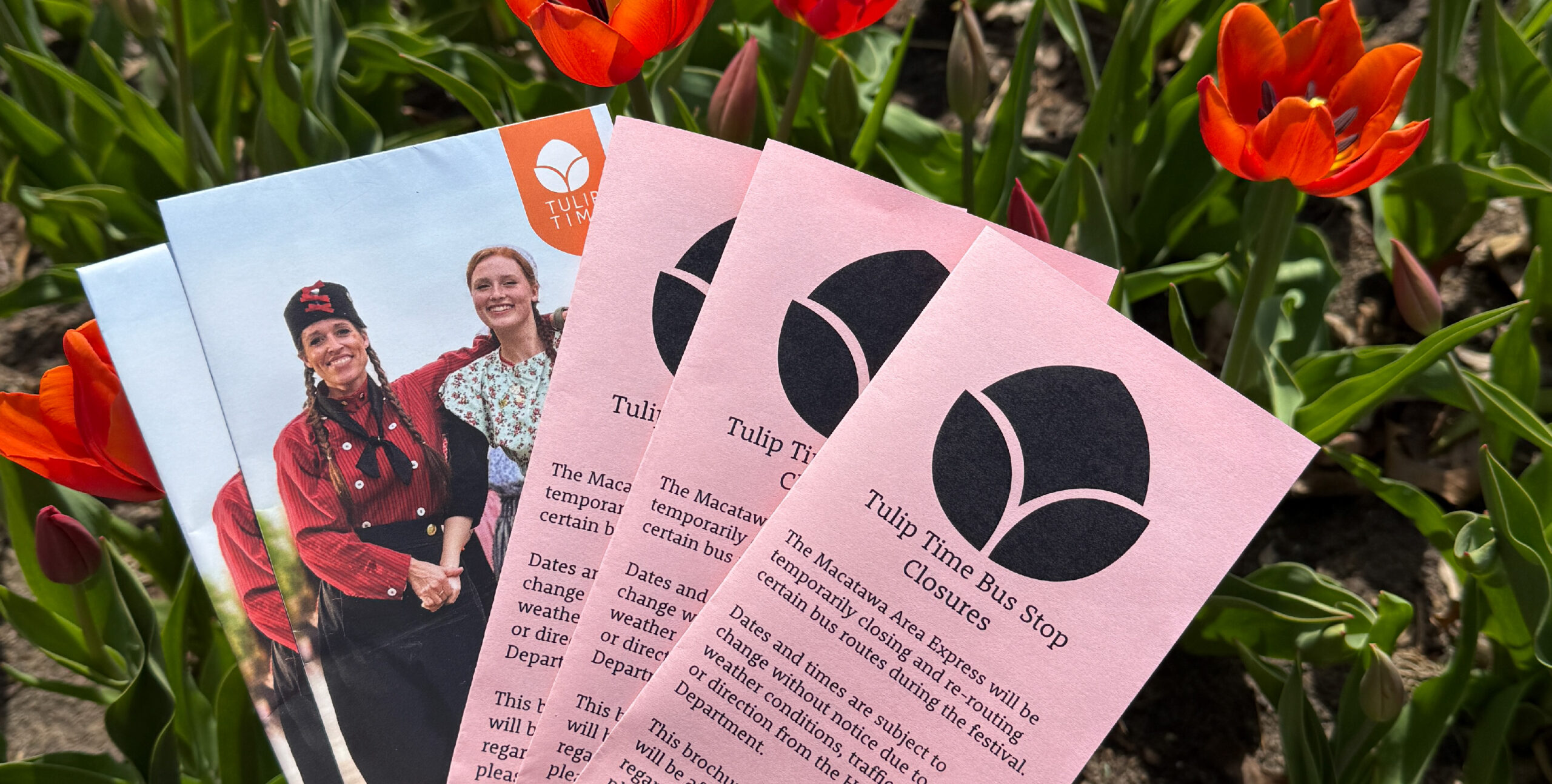 Get Tulip Time Ready